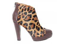 Botine brown Panther