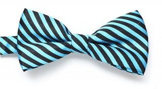 Papion copii cu dungi oblice albastre si negre