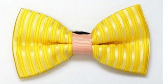 Papion copii galben cu dungi verticale