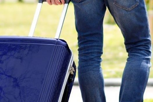 Trolere Lamonza rezistente, perfecte pentru vacantele din 2025