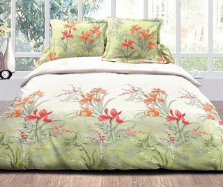 Lenjerie de pat Double Ranforce Koralia