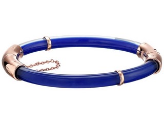 Fossil Acetate Bangle