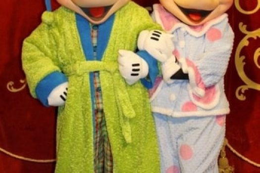 Pijamale lungi pentru copii ߩ modele ieftine Disney cu Angry Birds, Minnie & Mickey Mouse si Spiderman