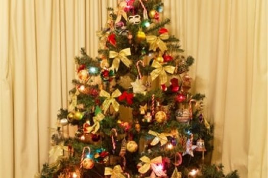 Brazi naturali si artificiali pentru Craciun 2025 ߩ modele cu pret accesibil la eMAG