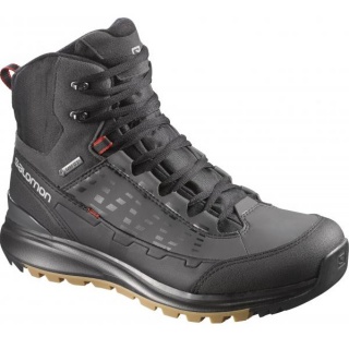 Salomon Mid GTX M