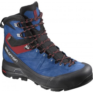 Salomon X Alp Mtn GTX M