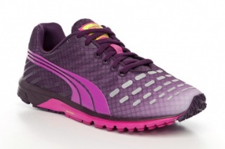 Puma Fass 300 V3