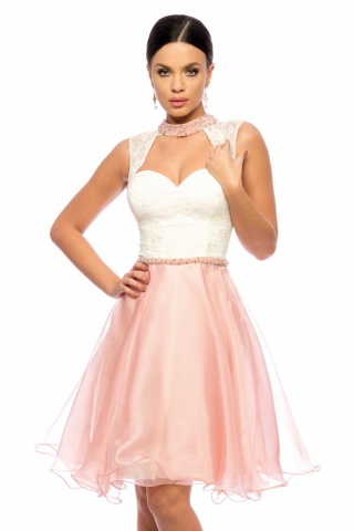 Rochie Ravisant Roz