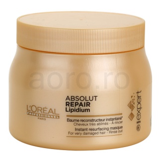 L'Oréal Professionnel Série Expert Absolut Repair Lipidium masca pentru regenerare pentru par foarte deteriorat