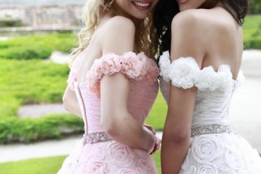 Rochii ieftine pentru domnisoare de onoare ߩ cele mai frumoase modele de nunta 2025