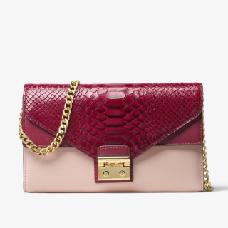 Sloan Color-Block Leather Chain Wallet