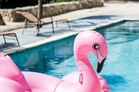 Colac si saltea gigant pentru piscina Flamingo, Lebada si Unicorn ߩ modele pentru adulti
