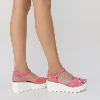 Platforme Tribo Roz