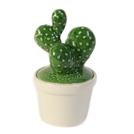 Bol depozitare CACTUS