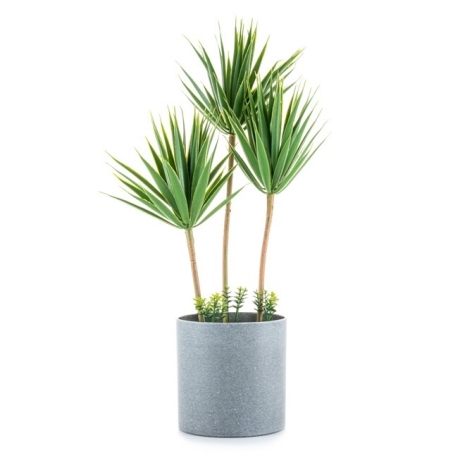 Ghiveci decorativ YUCCA
